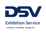 DSV Logo